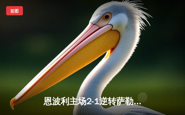 恩波利主场2-1逆转萨勒尼塔纳，卡普托传射建功助球队保级关键战告捷